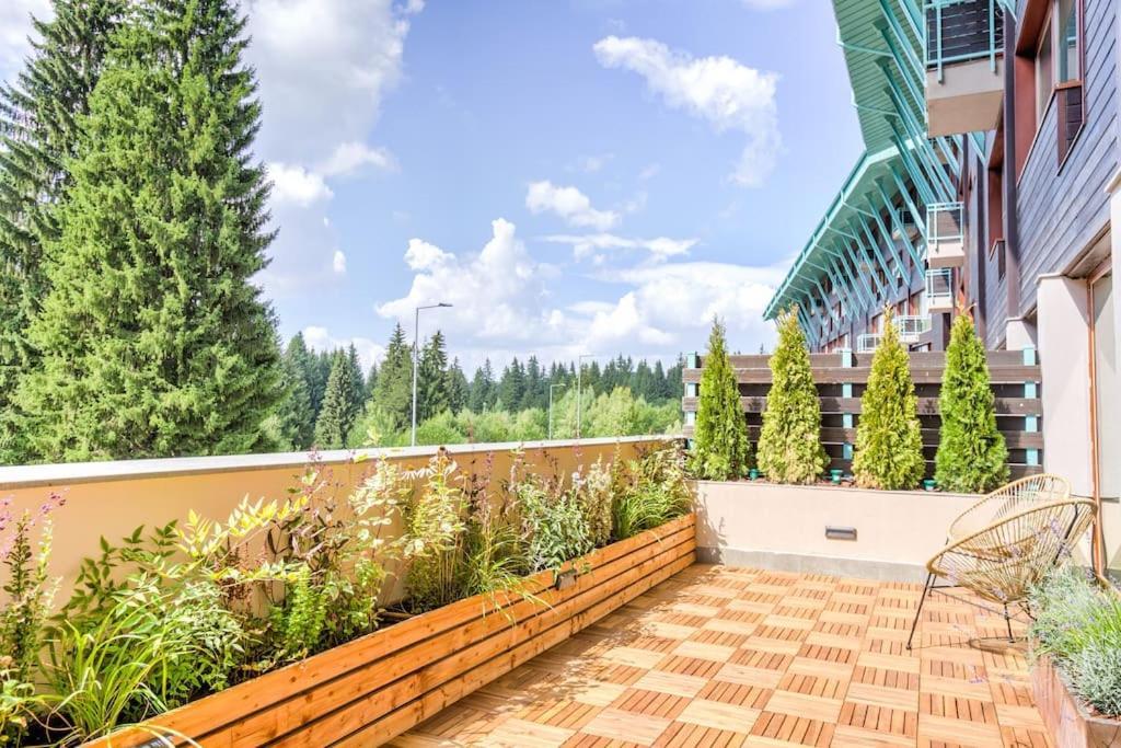 Splendor 3 bedroom flat in Silver Mountain Poiana Brasov Eksteriør bilde