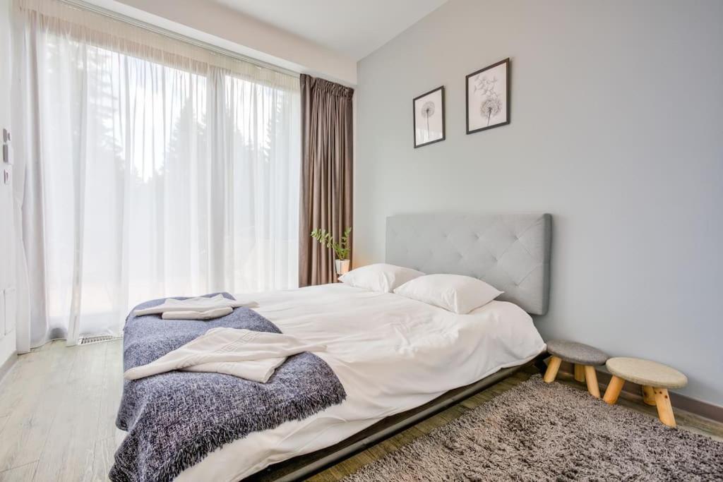Splendor 3 bedroom flat in Silver Mountain Poiana Brasov Eksteriør bilde