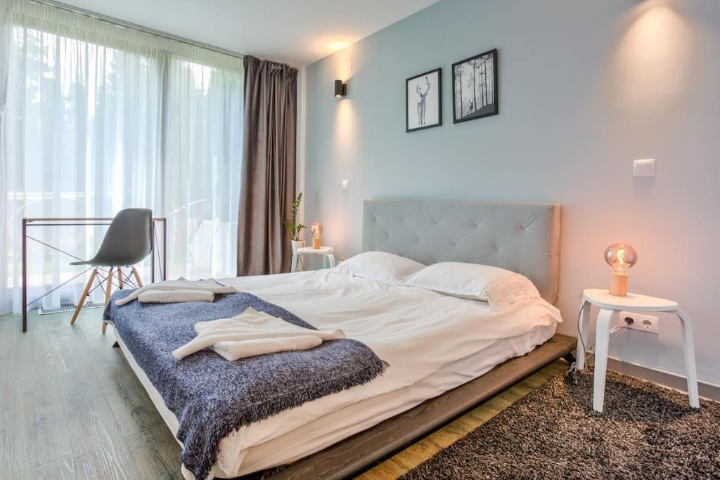 Splendor 3 bedroom flat in Silver Mountain Poiana Brasov Eksteriør bilde