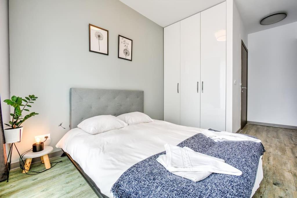 Splendor 3 bedroom flat in Silver Mountain Poiana Brasov Eksteriør bilde